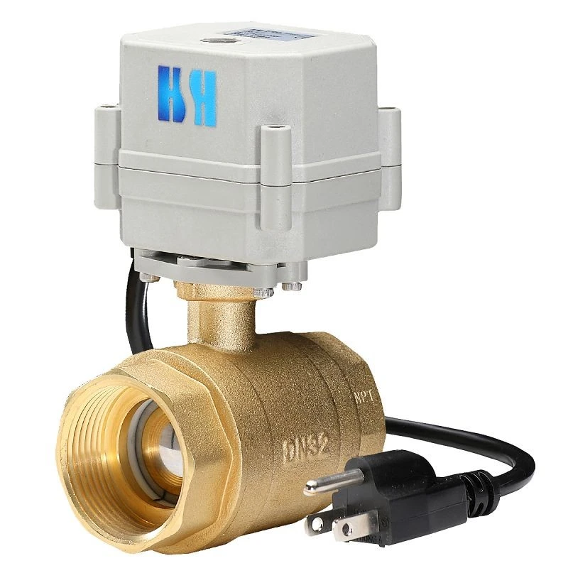 two way plug valve (1)(001)